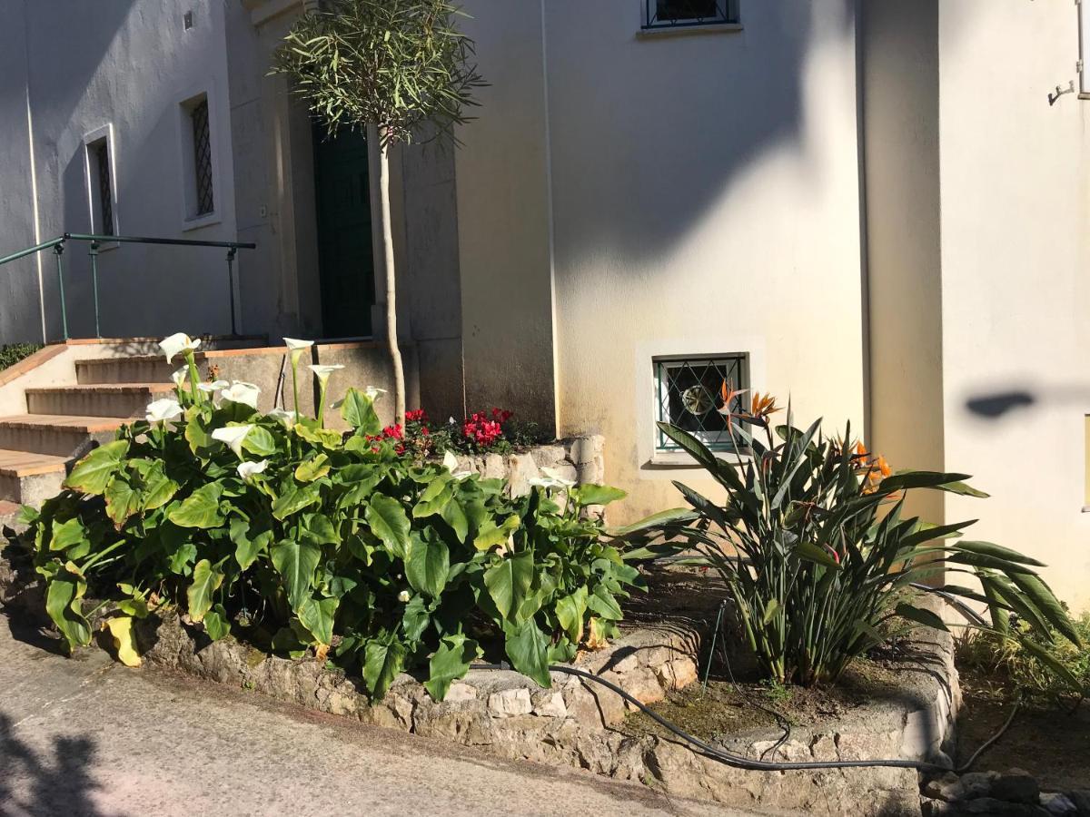 "L'Olivadou" St Jean Cap Ferrat Apartamento Saint-Jean-Cap-Ferrat Exterior foto